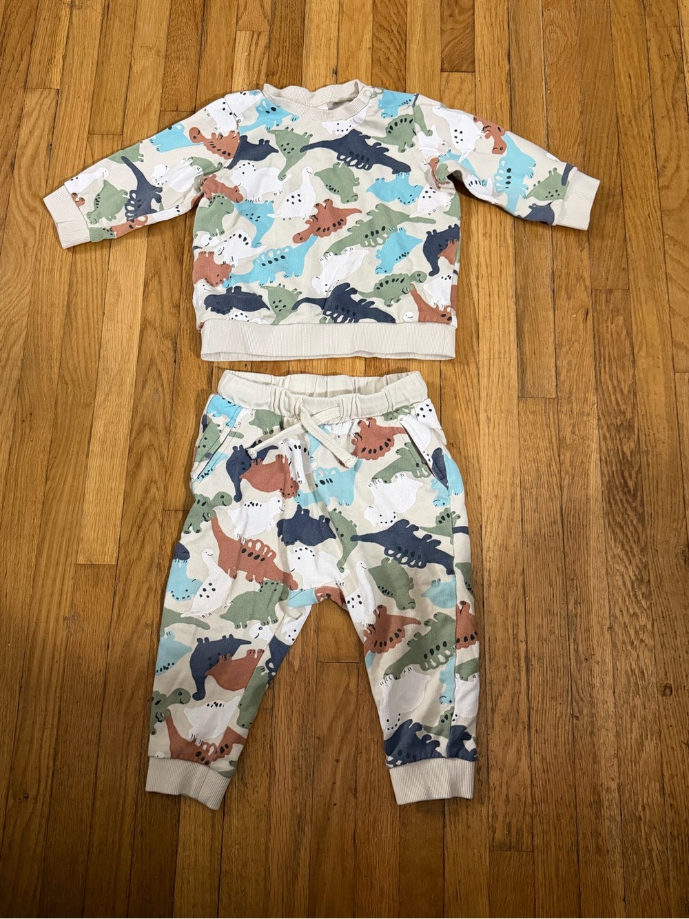H&M 9M Dino Sweatsuit